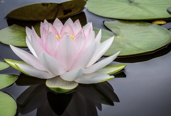 Screenshot 2025-10-07 at 10.27.53 AM.png