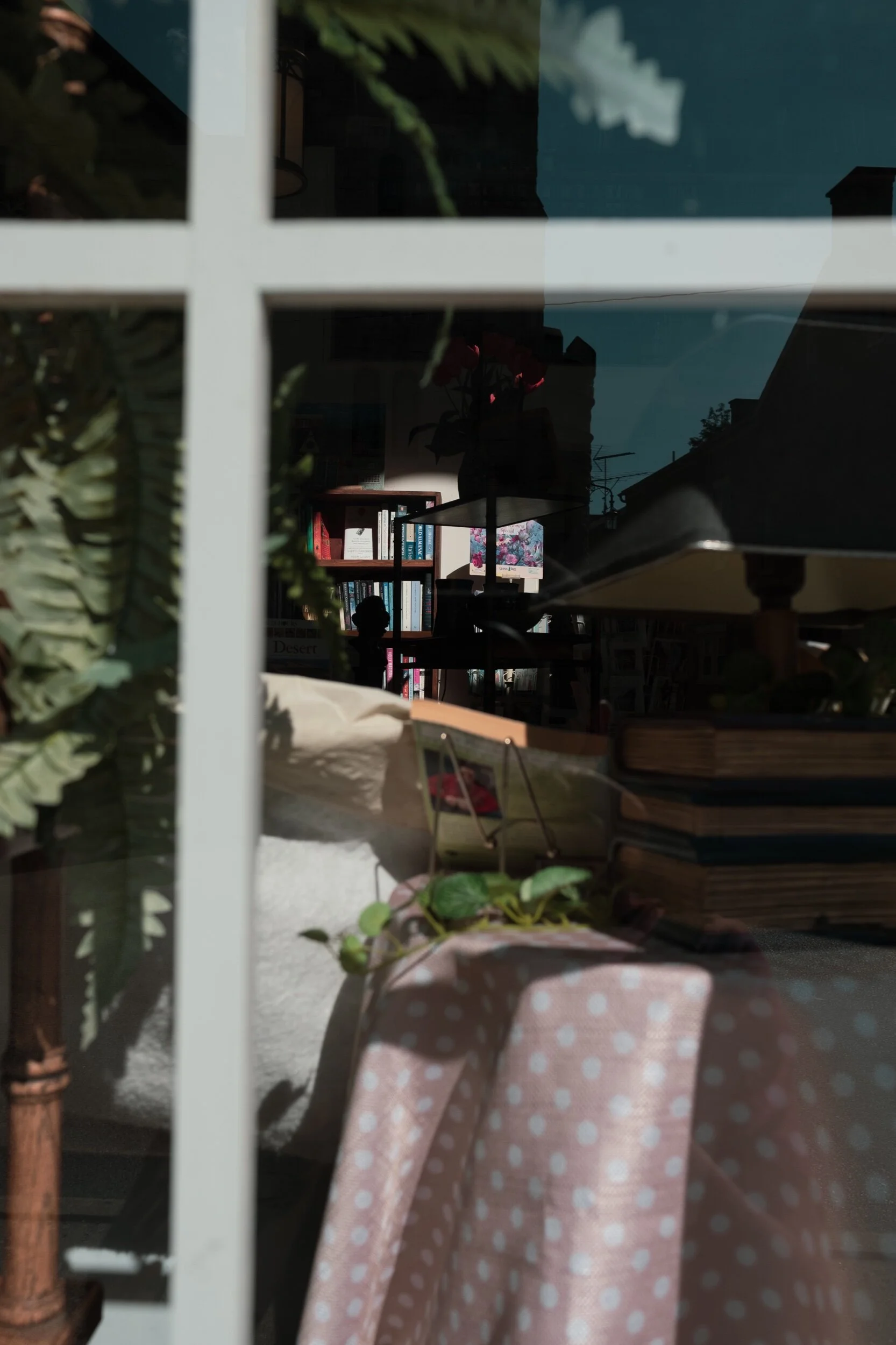 Reflection on a window showing bookshelves with books, a table with a pink polka dot tablecloth, ferns, and a potted plant.