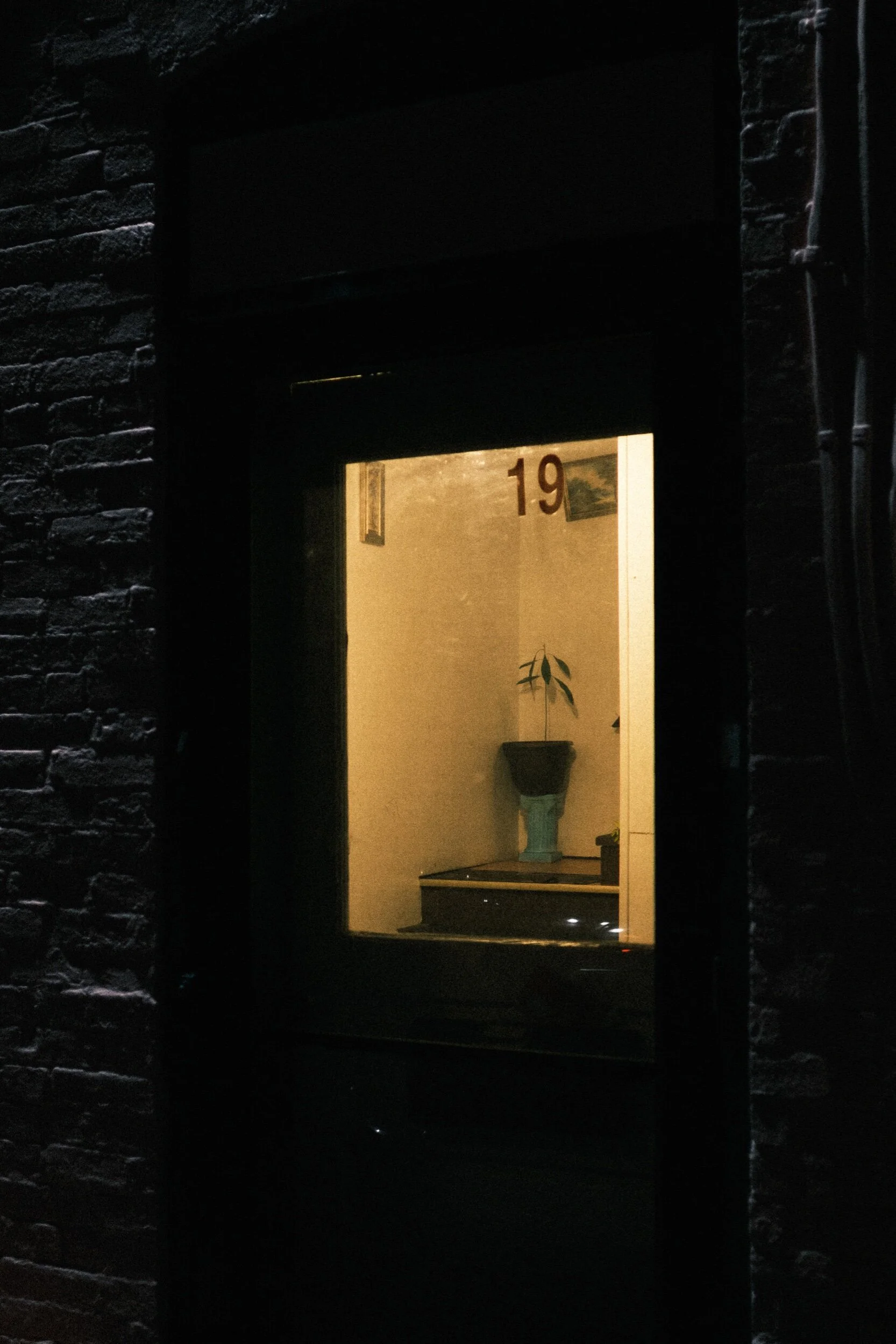 Dimly lit window with number 19, showing a stairwell, potted plant, and framed artworks inside.