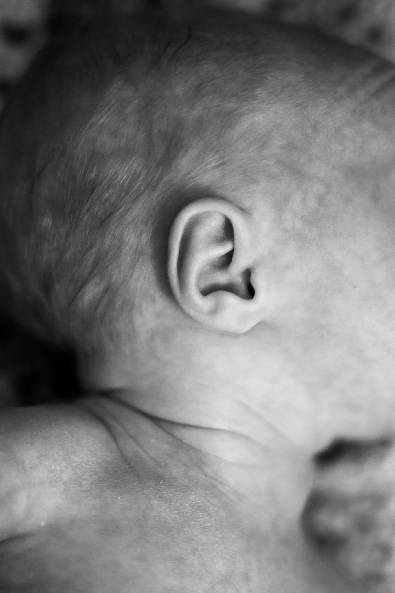 baby_Miles_06-2026-39.jpg