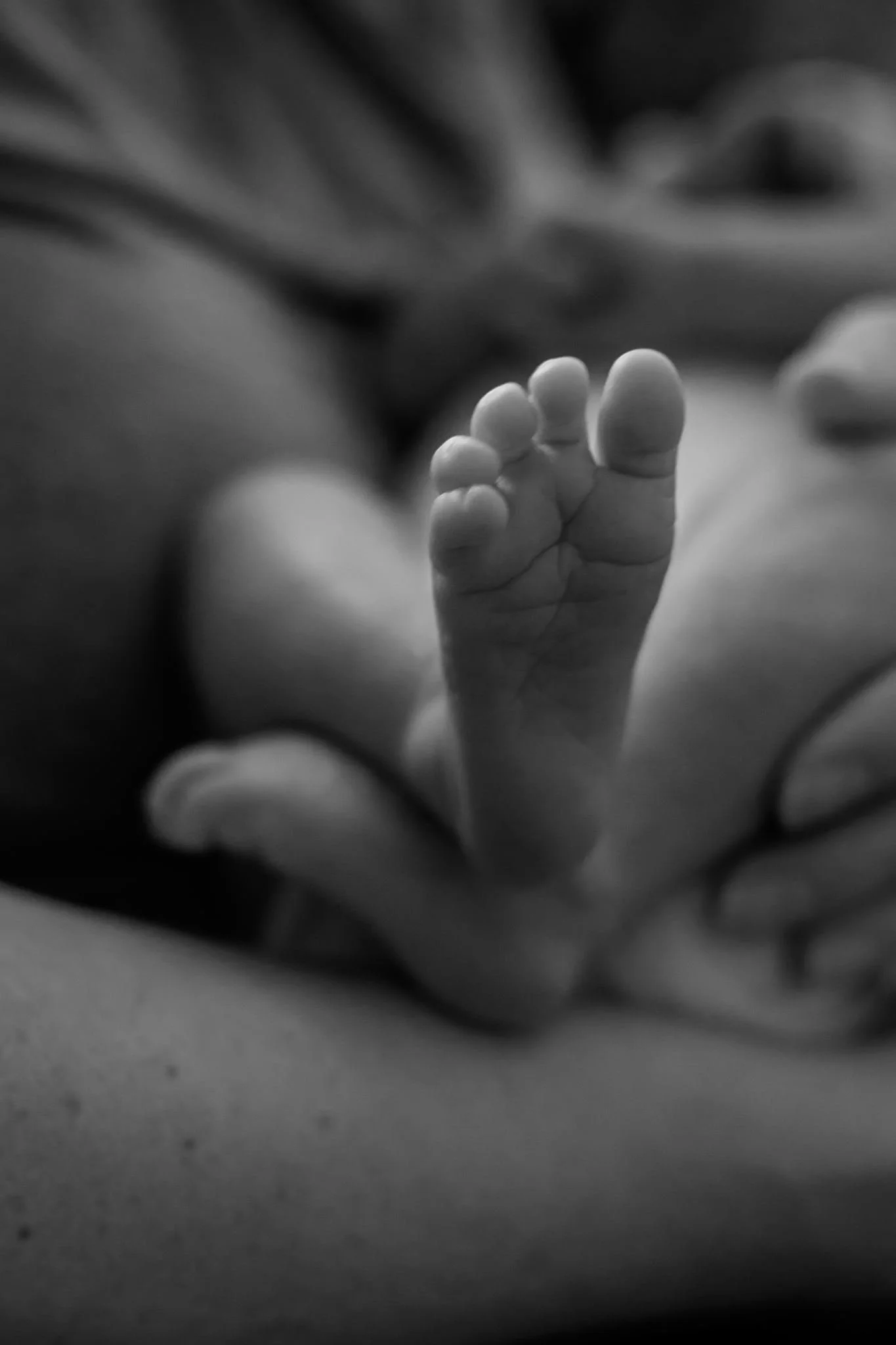 baby_Miles_06-2026-50.jpg