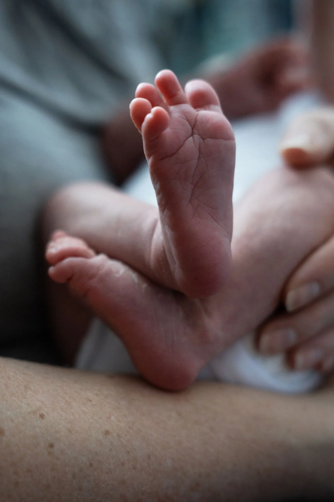 baby_Miles_06-2026-51.jpg