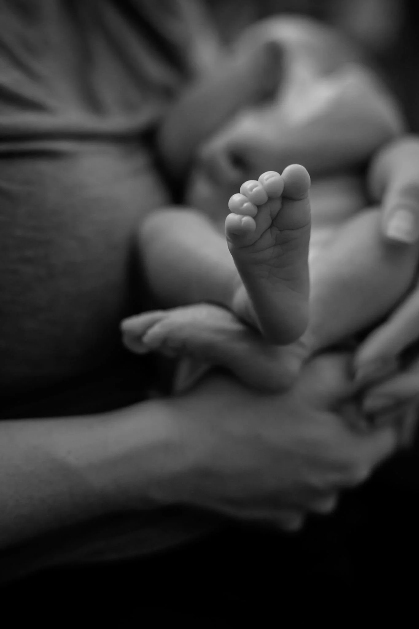 baby_Miles_06-2026-52.jpg
