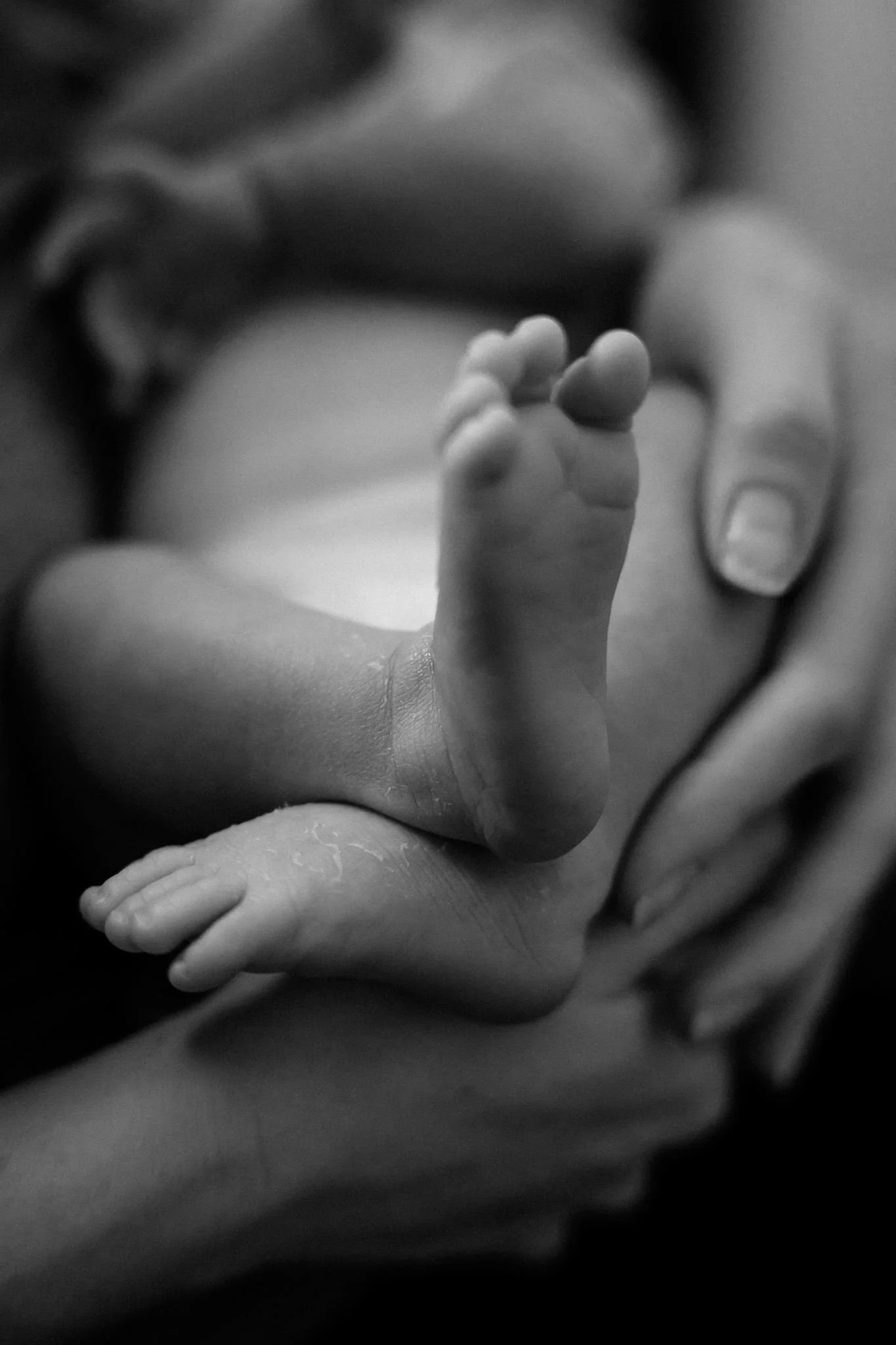 baby_Miles_06-2026-54.jpg