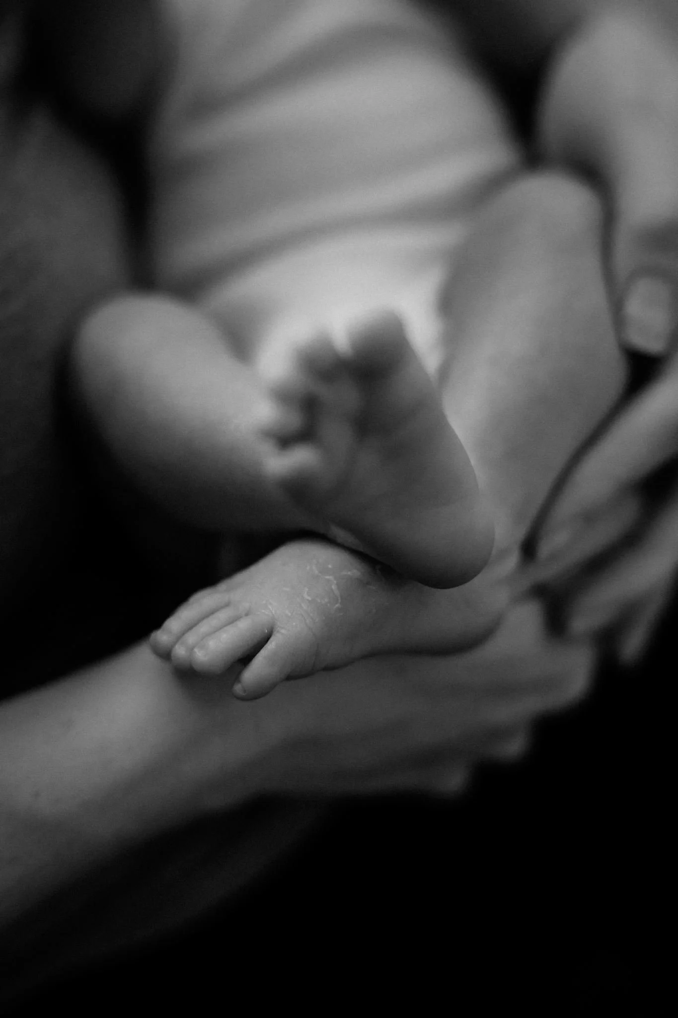 baby_Miles_06-2026-55.jpg