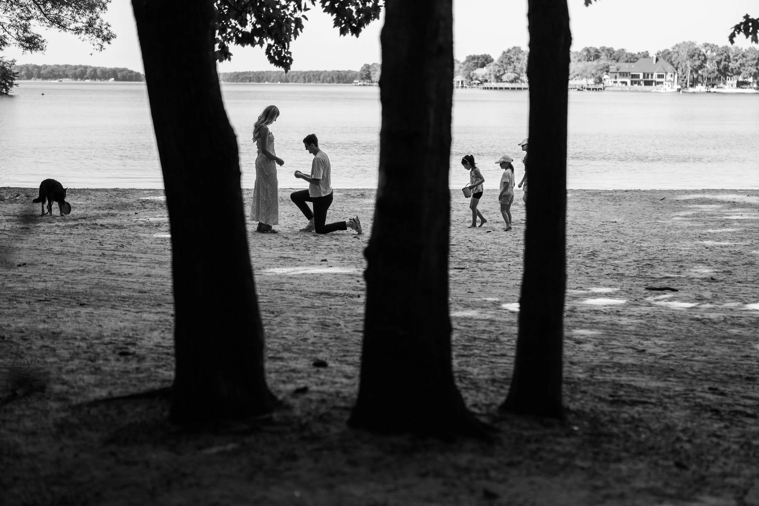 A black and white photo of a lakeside scene seen through the gaps of several trees. In the foreground, a couple is kneeling on the sand, proposing to his girlfriend at Jetty Park beach on Lake Norman, Cornelius, NC