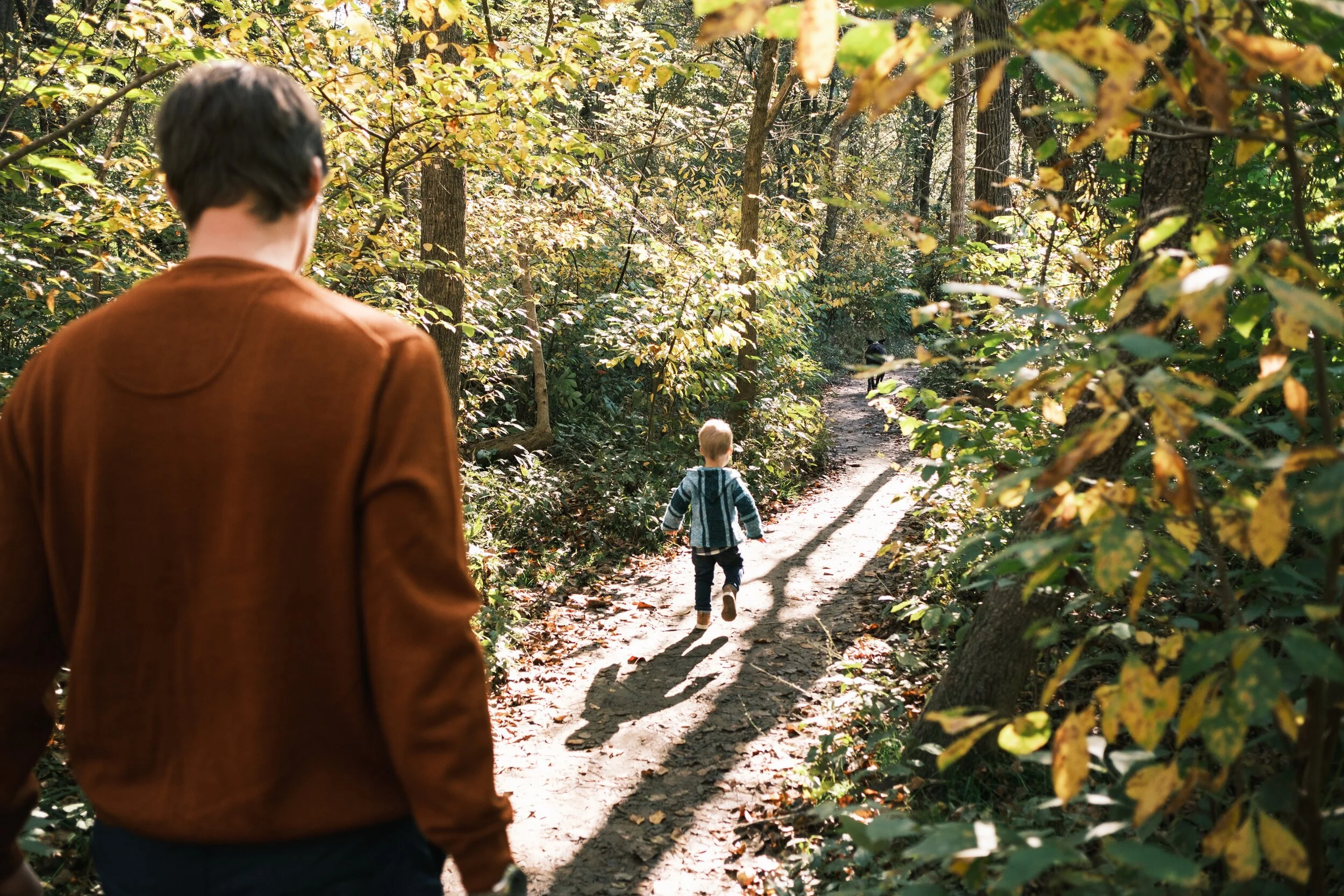 A person with short hair wearing a brown jacket walking on a forest trail. Two children are ahead walking along the trail, surrounded by green and yellow foliage. The scene is lit by sunlight filtering through trees.