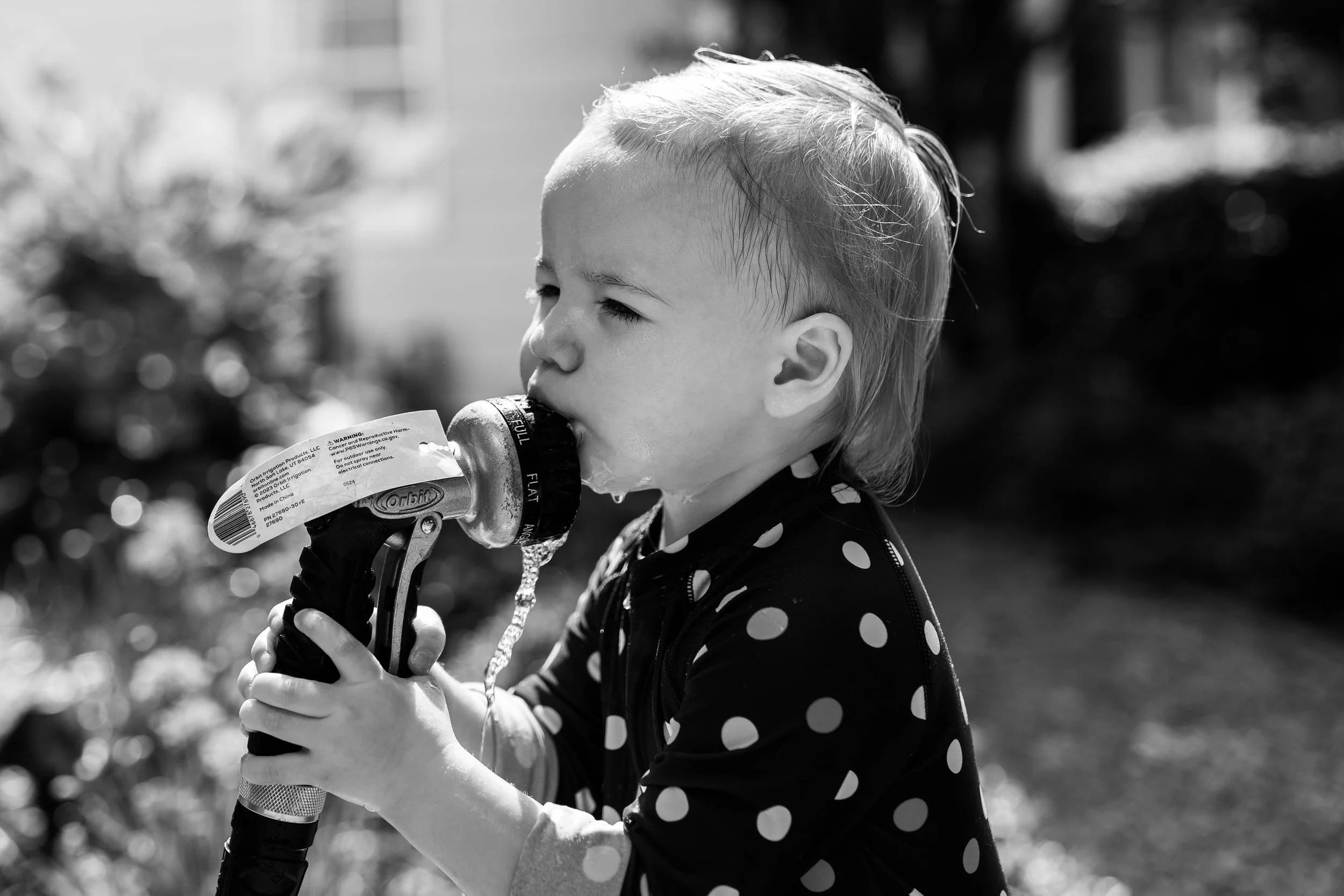 A young girl with light-colored hair drinking water from a hose during a family photography session in Charlotte.