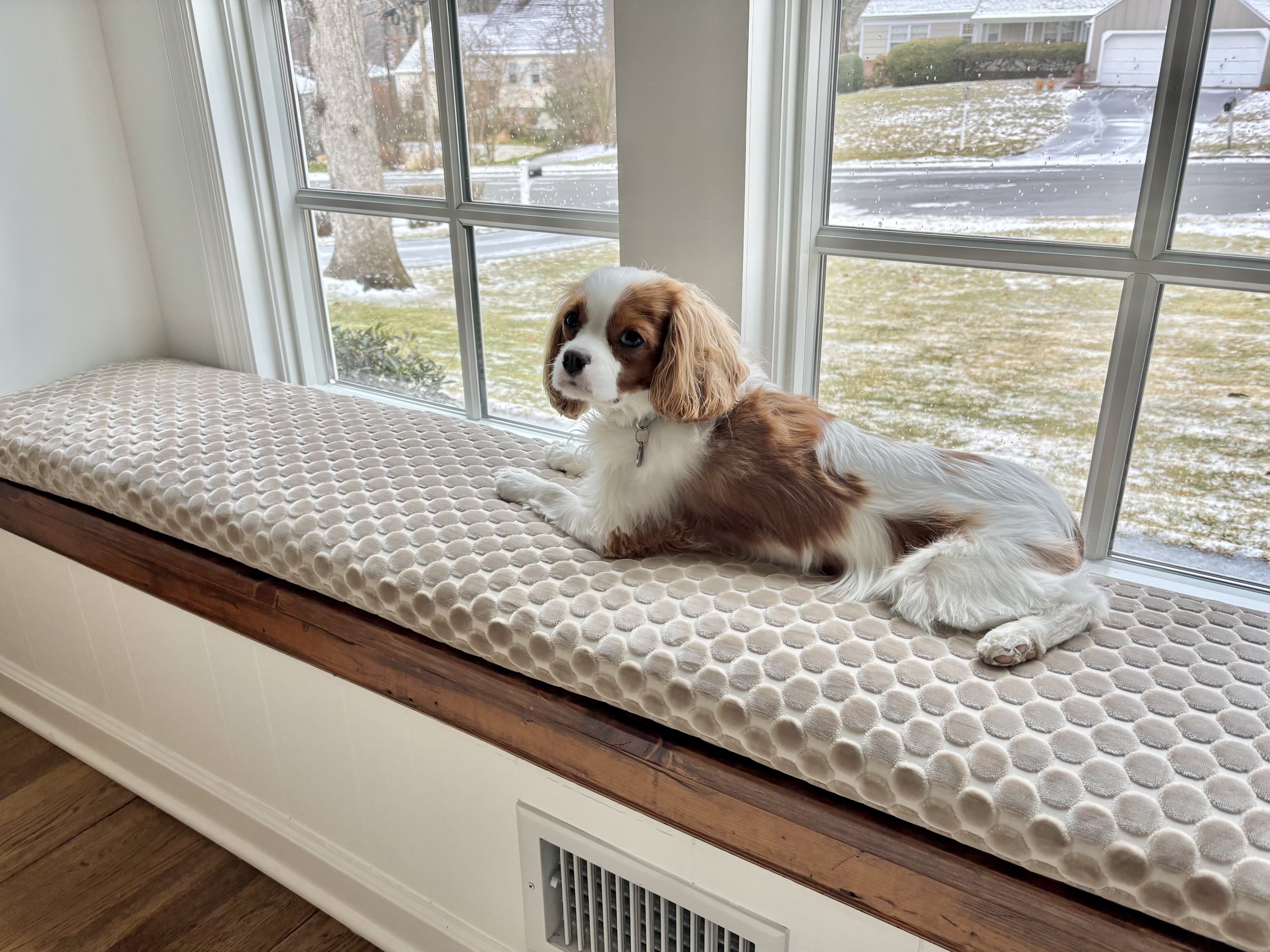 CustomWindowSeatwithDog.jpg