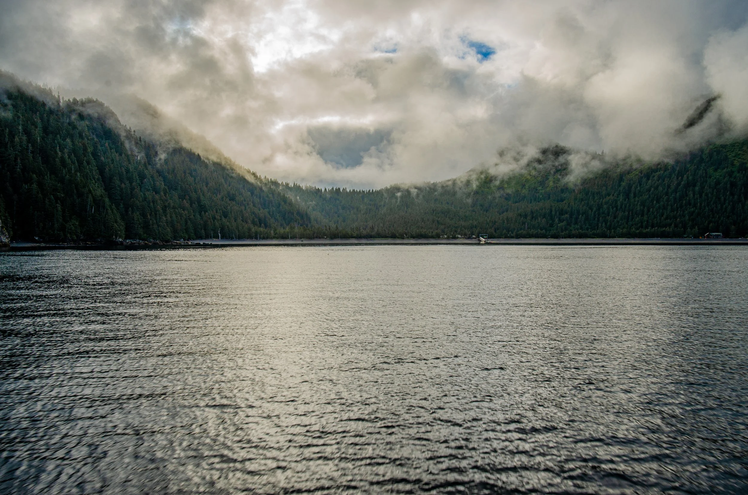 DSC_6262.jpg