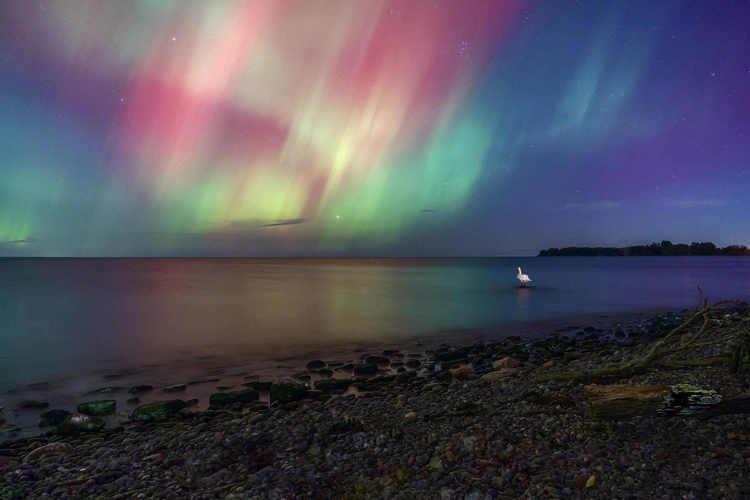 _DSC3743-1 small.jpg