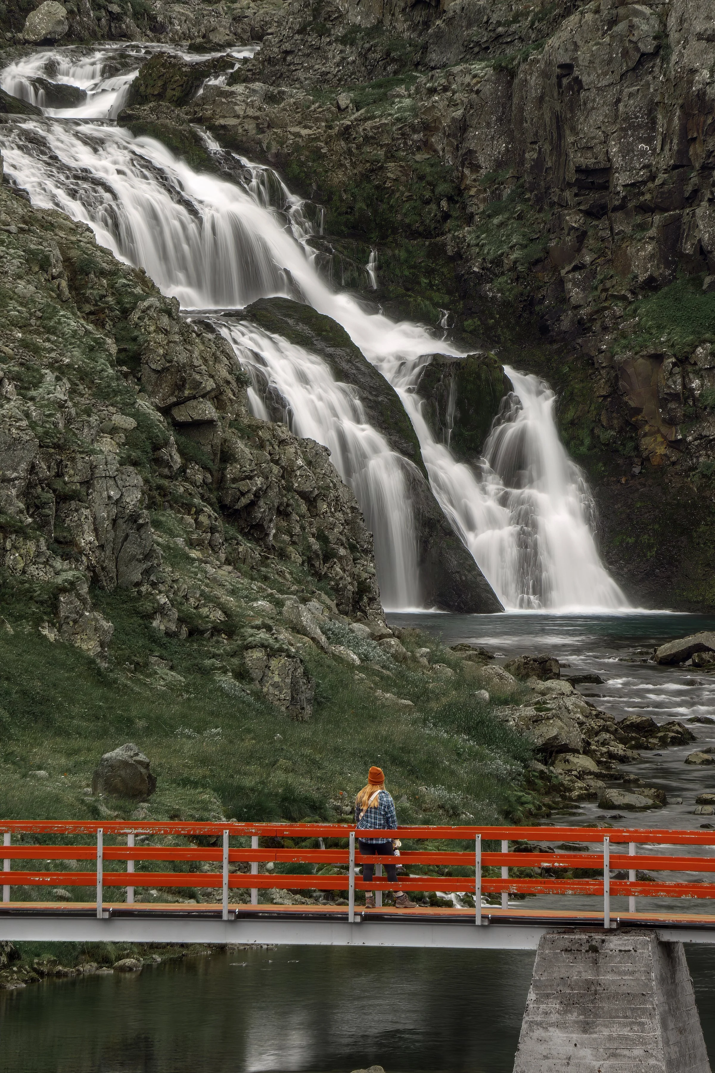 _DSC0876-1 medium.jpg