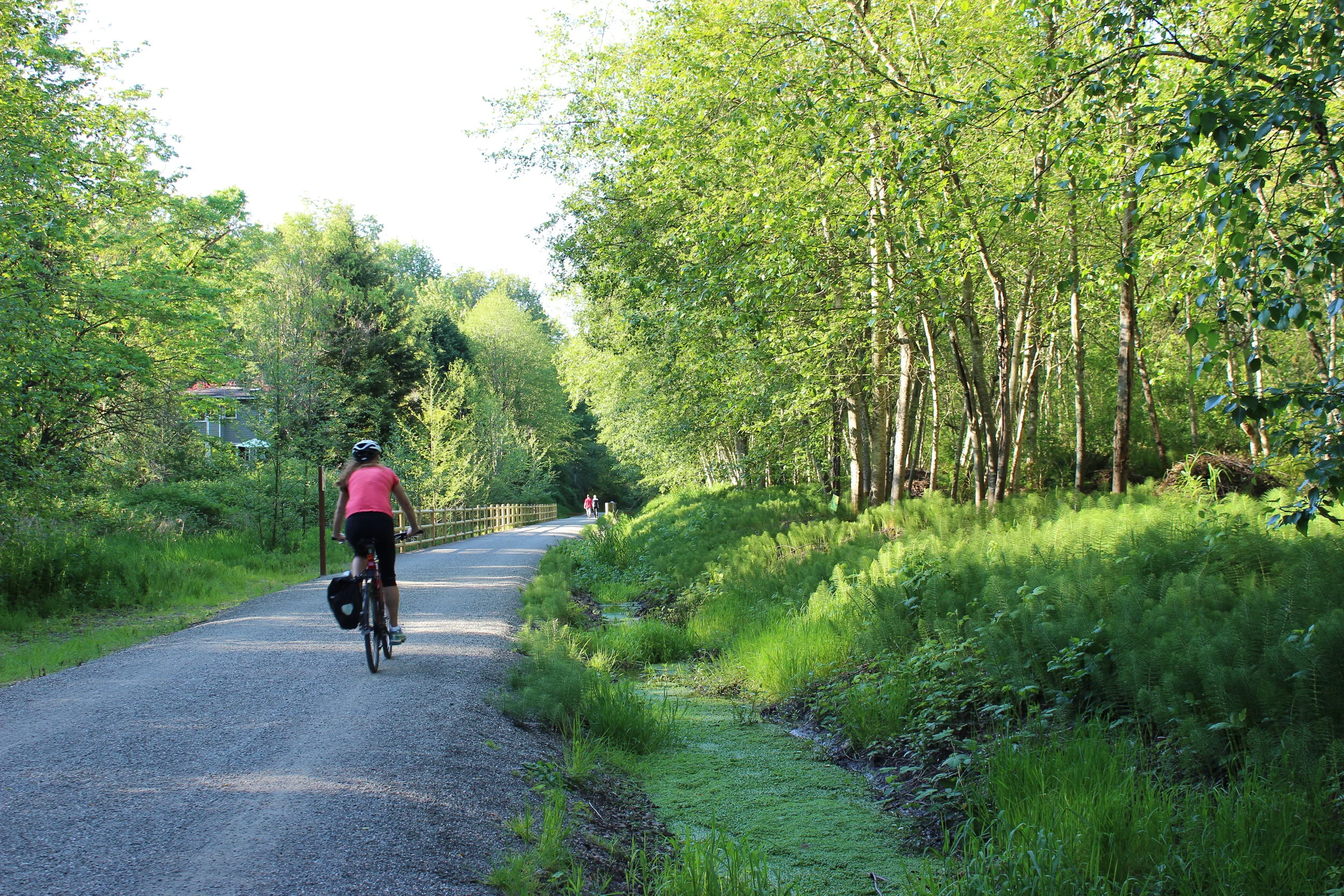 Page header image.jpg