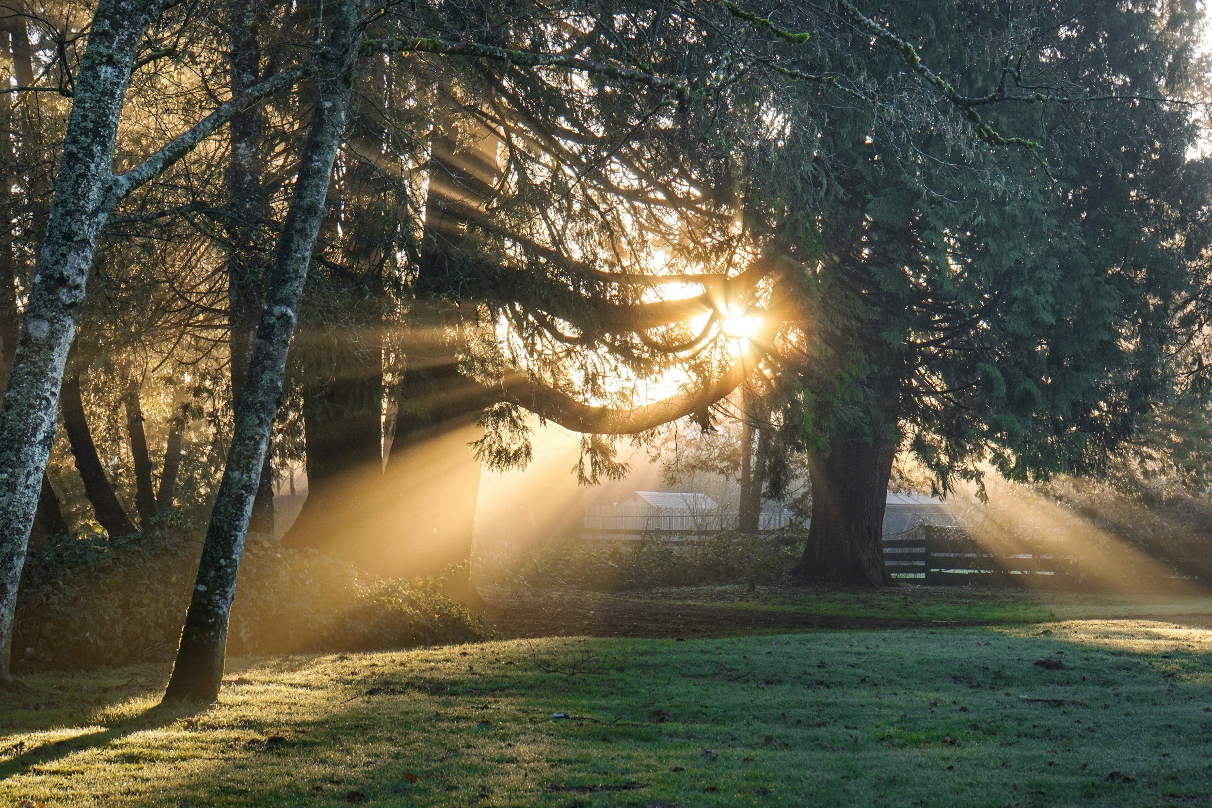 What is Energy Healing?