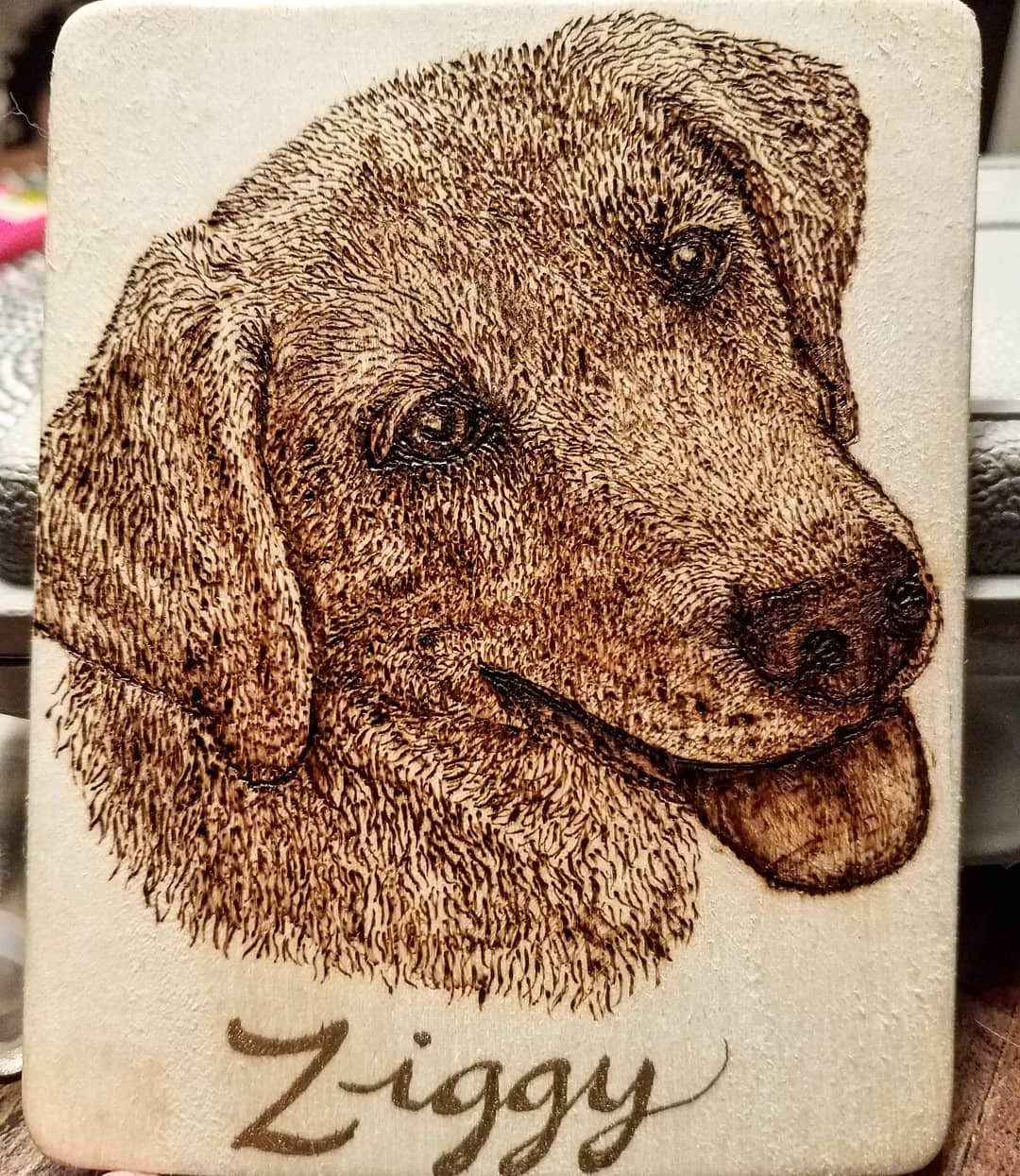 zig.jpg