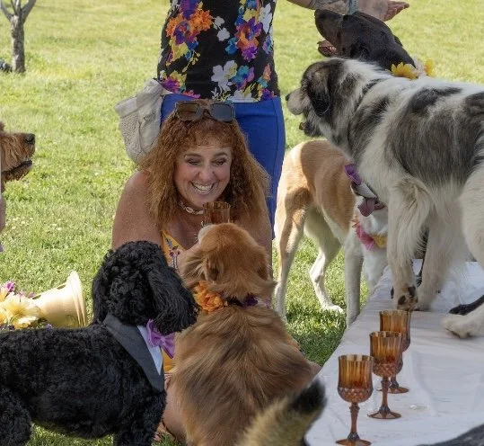 Tammy smiling with dogs at Woof To Wow.