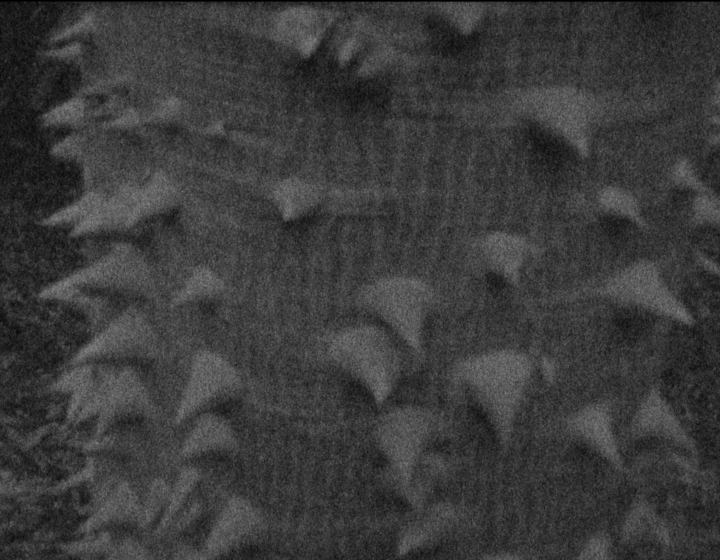 Screenshot 2022-12-14 at 10.43.52.JPG