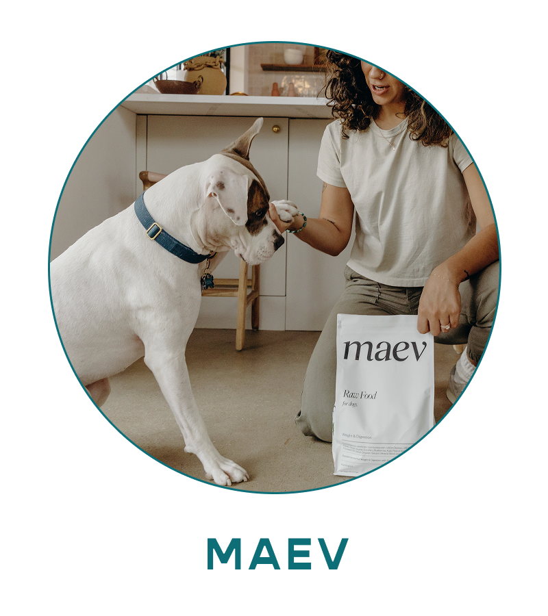 Maev