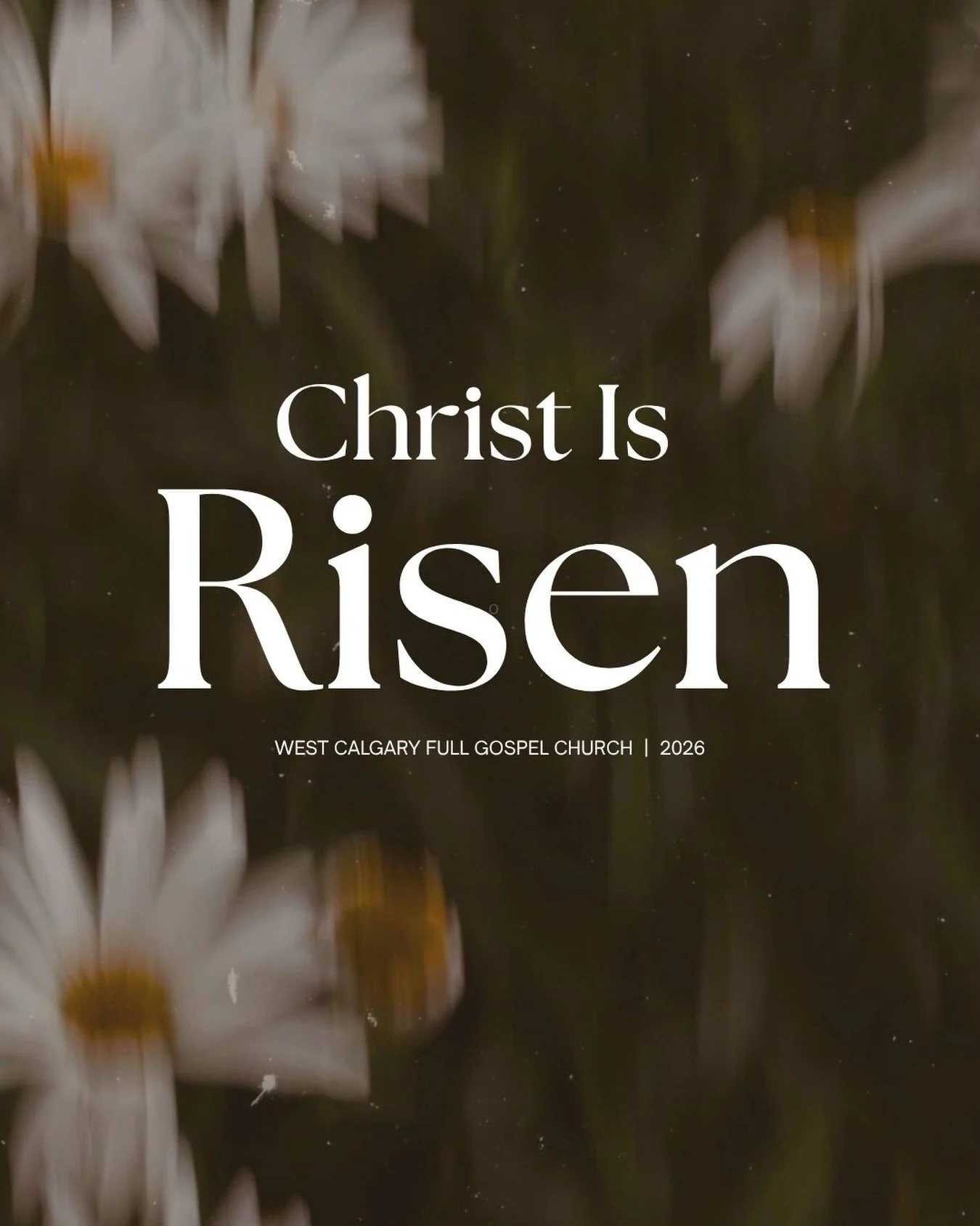 He Is Risen Indeed! 🙌

Join us this Easter Sunday at 10:30 AM as we celebrate the greatest news ever told. 

Easter is a time of hope, renewal, and new life. 

Come experience uplifting worship, an encouraging message, and a welcoming community as w