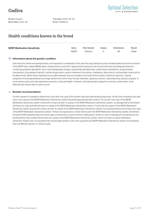 Genetic report for a Ragdoll cat, dated June 6, 2025, with health information about MDR1 medication sensitivity, breeder recommendations, and genetic testing details.