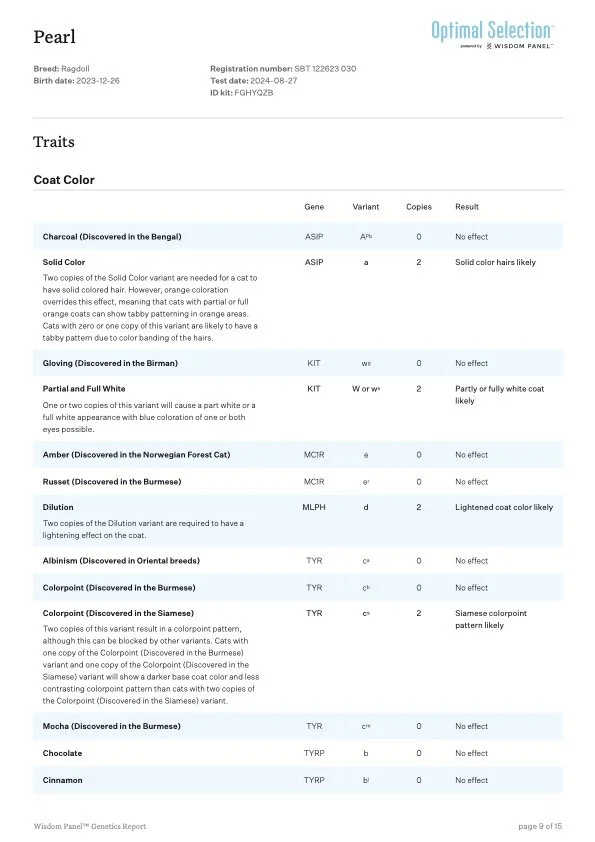 Genetics report page for a Pearl cat, showing traits and genetic details including coat color, gloving, full white, amber, russet, dilution, albinism, colorpoint, mocha, chocolate, and cinnamon.