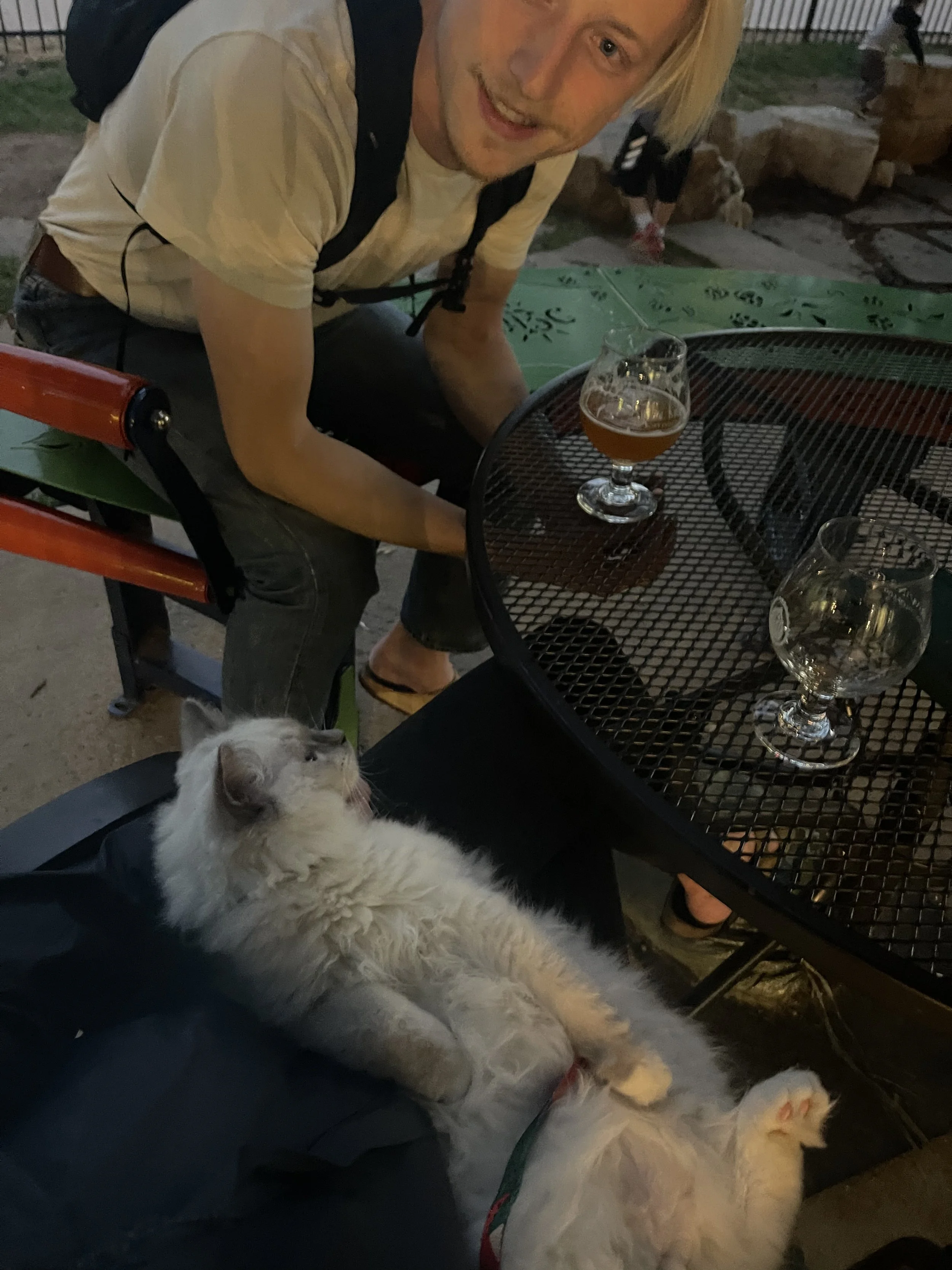 A smiling young man with blond hair, wearing a light-colored t-shirt and a backpack, leaning over a table with glasses of beer. There is a fluffy white cat lying on its back on a person's lap, with its head turned to the side and its paws relaxed.
