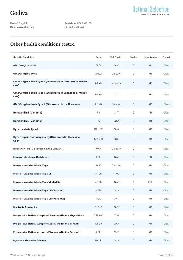 Laboratory report listing genetic test results for a Ragdoll cat named Godiva, born on June 6, 2024, with various health conditions tested, including results for multiple genes related to genetic disorders, all marked as clear.