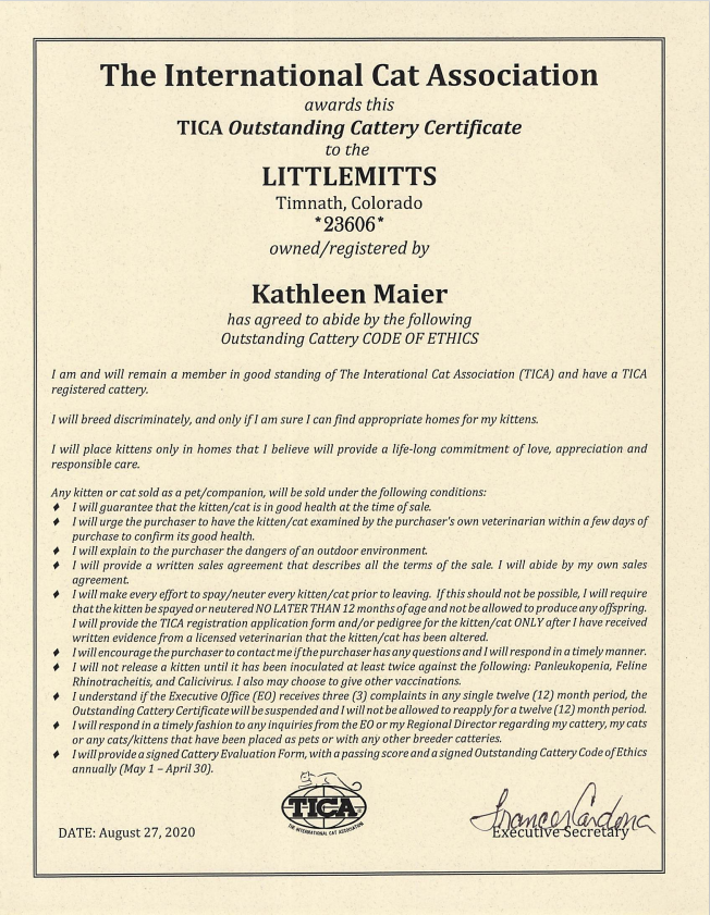 The International Cat Association Certificate
