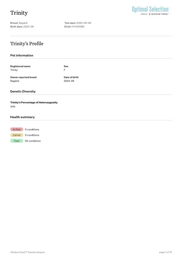 Genetics report for a dog named Trinity, a female Ragdoll breed born in June 2024. The report includes pet and owner information, genetic diversity, and health summary, indicating 0 risk conditions, 0 carrier conditions, and 50 clear conditions.
