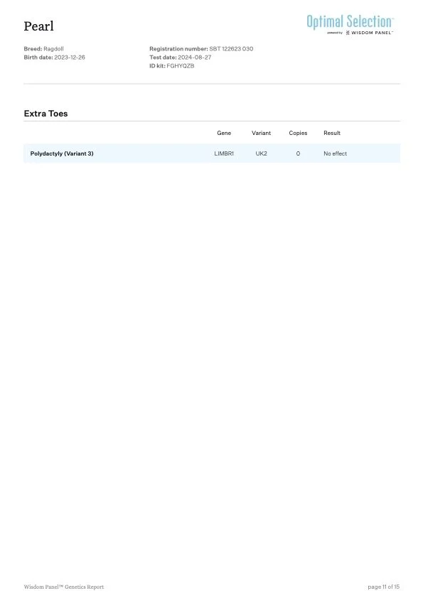 Genetic test report for a Ragdoll cat named Pearl, born on December 26, 2023, showing no effect for the Polydactyly (Variant 3) gene with UK2 variant and zero copies.