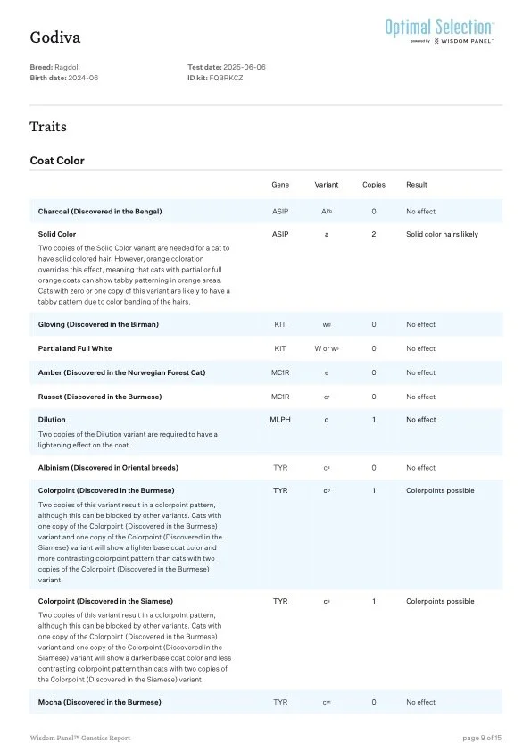 Genetic test results report for Godiva, a Ragdoll cat, showing traits related to coat color and patterns, including solid color, gloving, partial/full white, amber, russet, dilution, albinism, and colorpoints across multiple breeds. The report includ