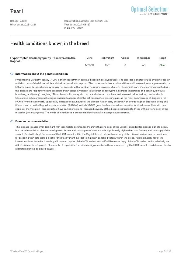 Genetic report for a Ragdoll cat named Pearl, born on December 26, 2023, with information on health conditions and genetic testing results for hypertrophic cardiomyopathy and related genetic details.