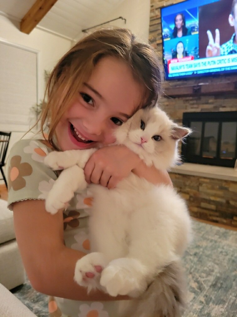 A young girl with a big smile hugging a fluffy white and gray kitten in a living room.
