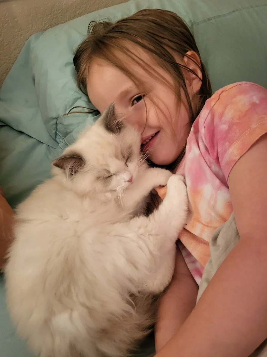 A young girl with reddish-brown hair lying on a bed, smiling, snuggling with a fluffy white and gray cat.