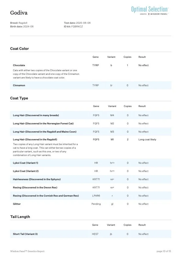 Genetics report for a Ragdoll cat, including coat color, coat type, tail length, and genetic traits such as Cinnamon, Long Hair, Lykoï coat, Hairlessness, Rexing, Glitter, and Short Tail, with details on genes, variants, and effects.