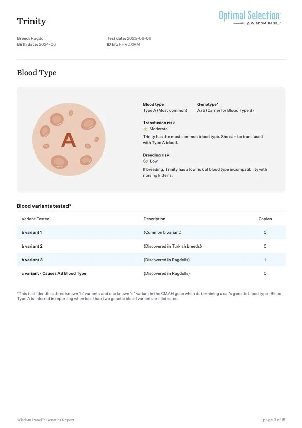 Laboratory report showing cat's blood type results. The blood type is A, with moderate transfusion risk and low breeding risk. Variants tested include b variant 1, b variant 2, and b variant 3, with the c variant not detected.