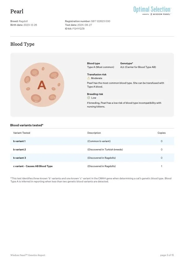 Screenshot of a genetic report for a Ragdoll cat named Pearl, showing her blood type as A and listing blood variants tested, including common B variants and C variants causing AB blood type.