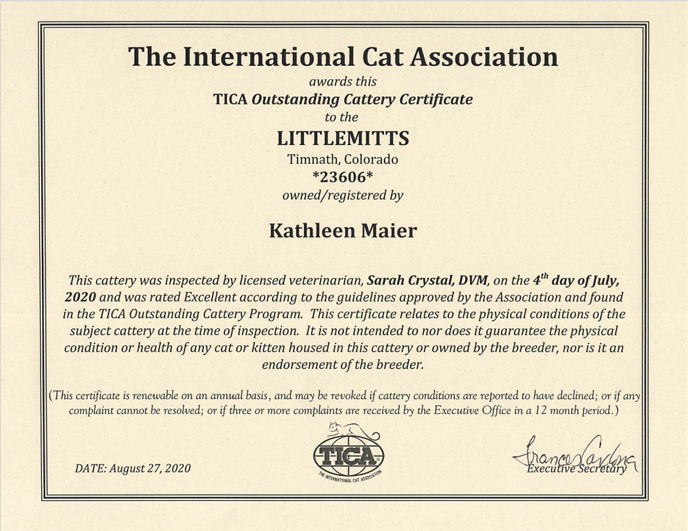 The International Cat Association Certificate