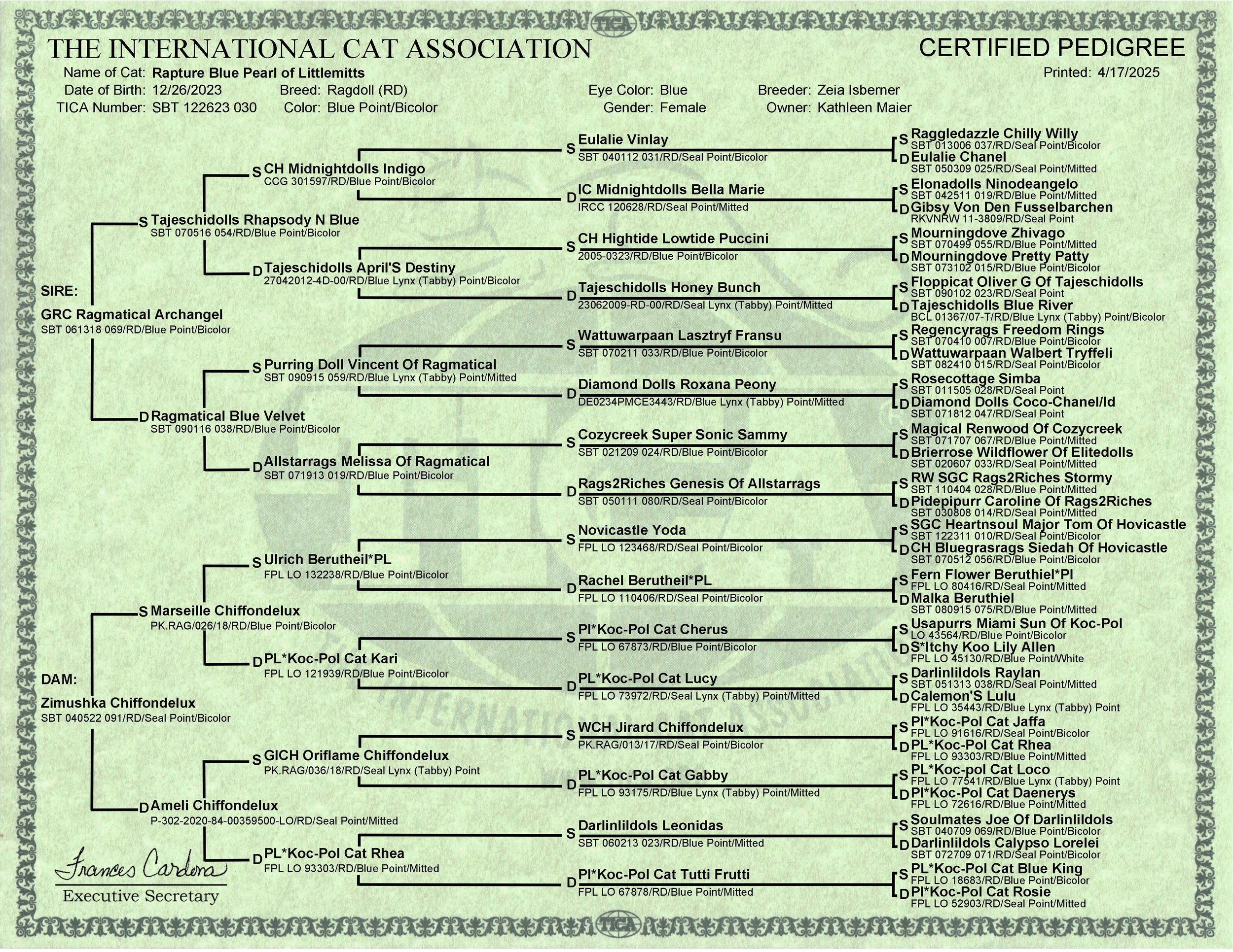 A certified pedigree chart for a cat named Rapture Blue Pearl of Littlemitts, showing its lineage and ancestors. It includes details such as birth date, breed (Ragdoll), eye color (blue), and owner (Kathleen Maier). The chart lists multiple generatio