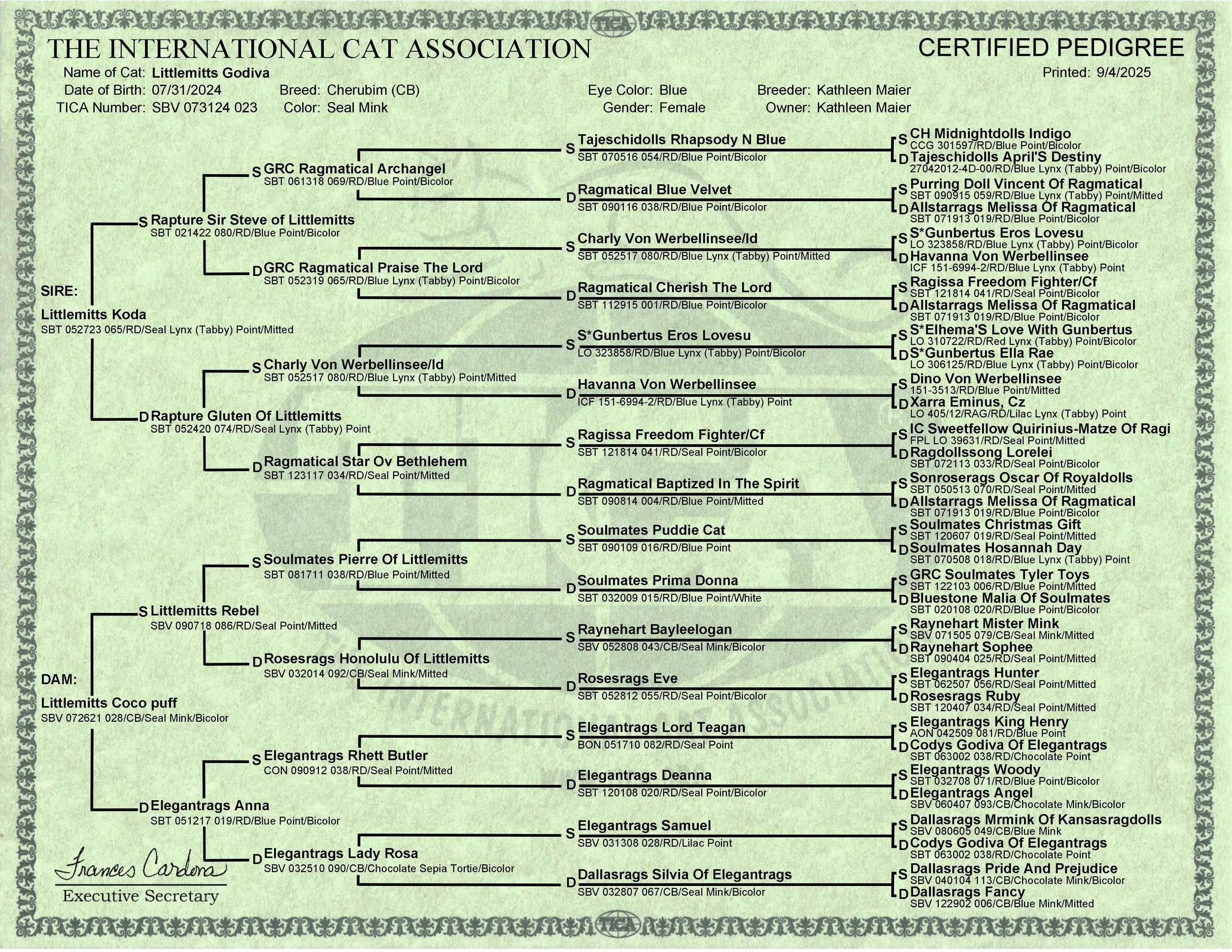 A certified pedigree chart for a cat named Littlemitts Godiva from The International Cat Association, showing her lineage from multiple generations of ancestors with details about each ancestor's name, registration number, and physical traits.