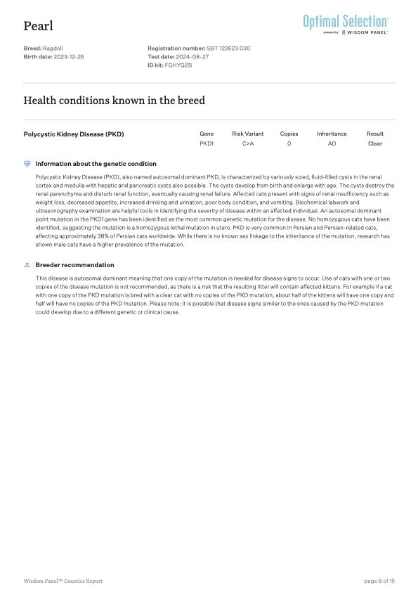 Genetic report for a Ragdoll cat named Pearl, born on December 26, 2023. It details health conditions related to Polycytic Kidney Disease (PKD) caused by a PKD1 gene mutation, including genetic information, risk variant, copies, inheritance pattern, 