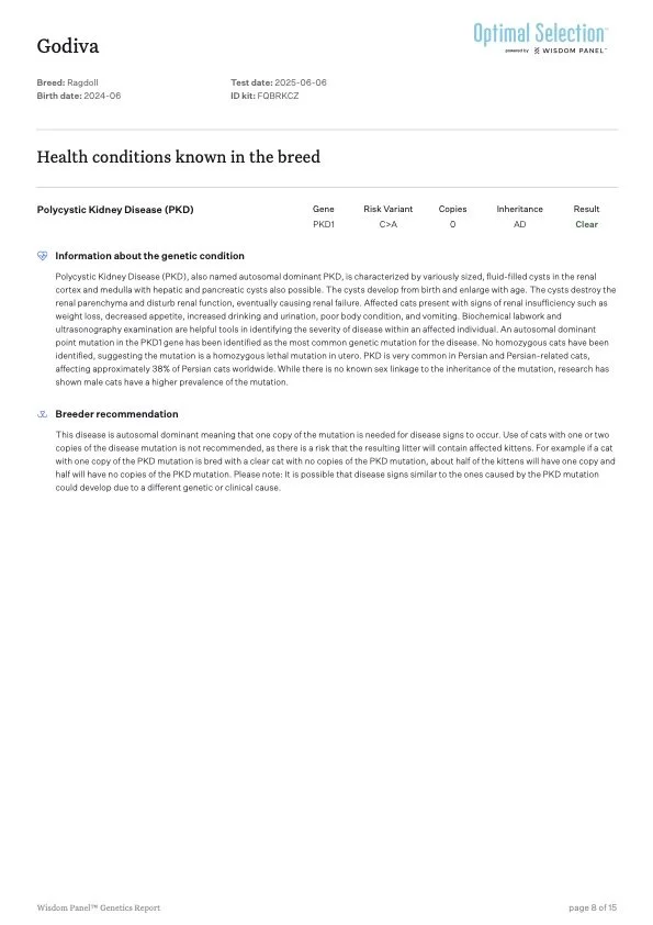 Genetic report for a Ragdoll cat named Godiva, born in June 2024, showing health condition for Polycystic Kidney Disease (PKD). The report includes genetic details, risk variant, number of copies, inheritance pattern, and result indicating clear stat