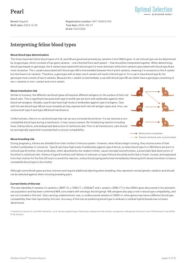 Document displaying feline blood types and genetic testing information, including blood type interpretation, transfusion risk, and limitations of the test, with a diagram of blood compatibility between cat blood types.