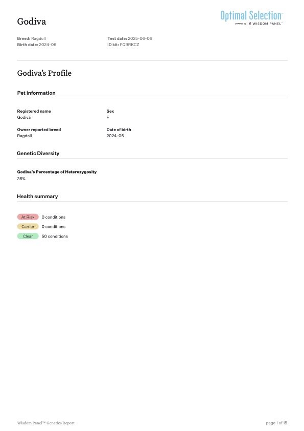 Genetic testing report for a dog named Godiva, a female Ragdoll breed, born in June 2024. The report includes her DNA test date, breed, sex, and genetic diversity details, with zero health conditions at risk or carrier, and 50 conditions marked as cl