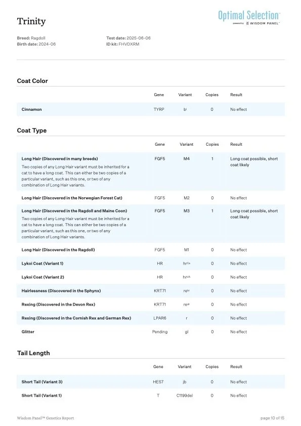 Genetic testing report for a Ragdoll cat named Trinity, dated June 6, 2025, showing coat color, coat type, tail length, and other genetic traits with results indicating no effect for most traits and some specific gene variants.