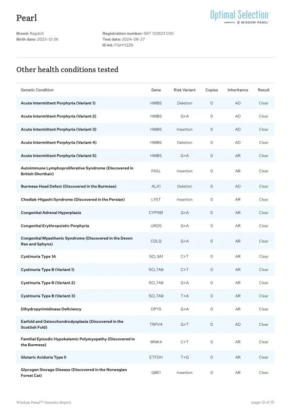 Laboratory report for a Ragdoll cat with various genetic health condition tests results, including genetic conditions, gene mutations, copies, inheritance, and results, such as clear or affected.