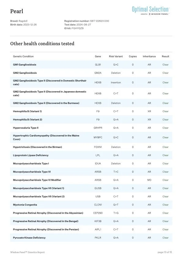 Laboratory results sheet showing genetic test results for a Ragdoll cat named Pearl, including various health conditions tested and their outcomes, with columns for gene, risk variant, copies, inheritance, and result.