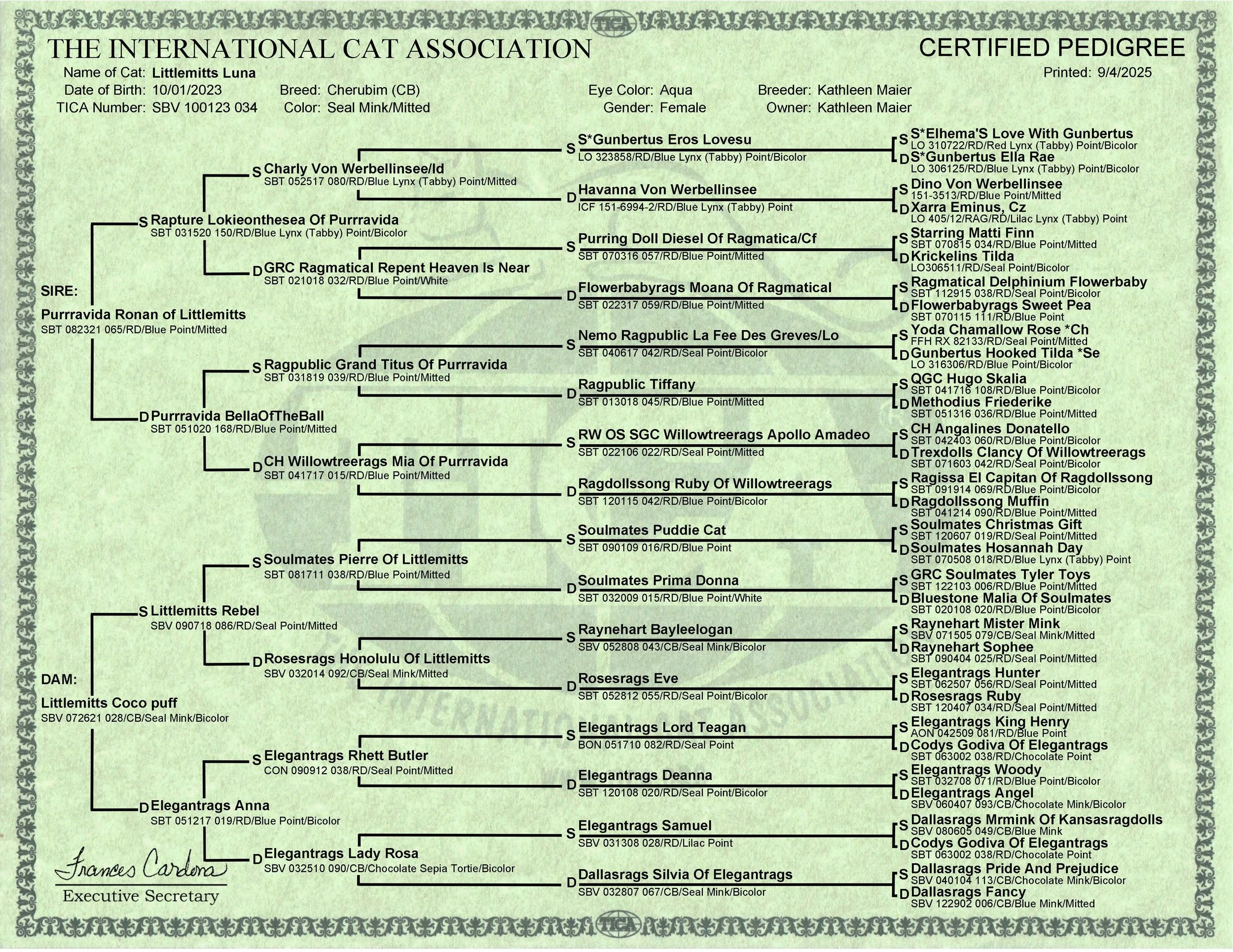 A detailed certified pedigree chart for a cat named Littlemitts Luna, showing ancestors going back multiple generations. The chart lists names, registration numbers, colors, genders, breeders, and owners for each cat, with lines connecting related ca