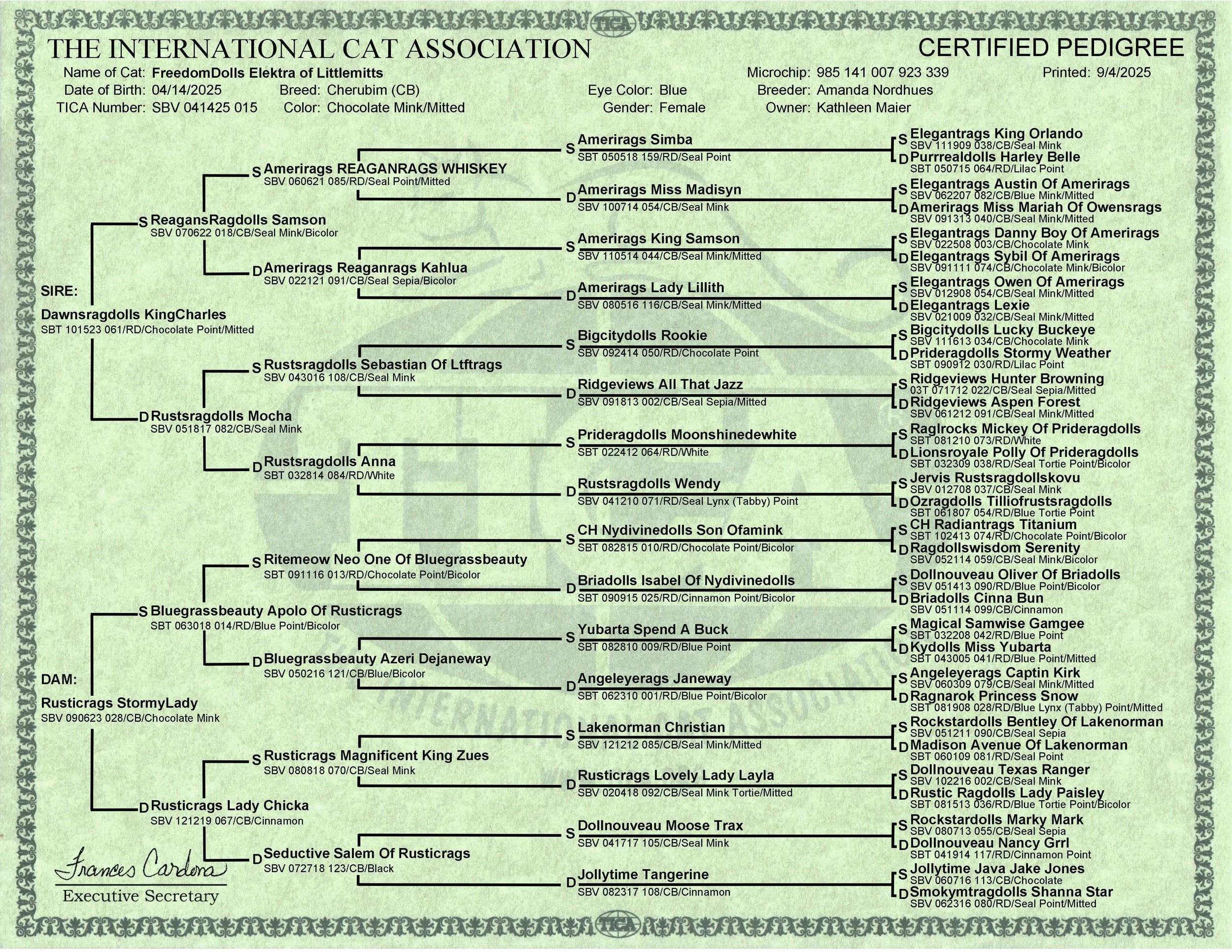 A detailed certified pedigree chart of a cinnamon female chocolate cherubim cat named FreedomDolls Elektra of Littlemitts, born on April 14, 2025. The chart includes the cat's lineage, showing ancestors dating back several generations, with names, re