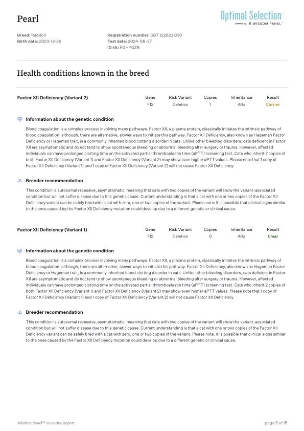 Genetic health report for a Ragdoll cat, indicating Factor XII deficiency, with specific genetic details, breed information, and breeder recommendations.